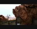【Halo:reach】ちょっと得する？HLG講座１