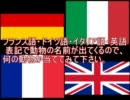 【クイズ】世界の言語で動物の名前【クイズ】