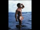 びおりん、やられ声♂集