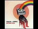 Hypnotised      /      Smoove & Turrell 