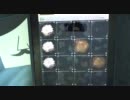【jubeat plus 譜面確認】 ねこバス(EXT)　フラワーマーカー