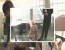 小野ナイト