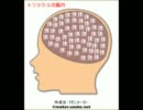 DMCのキャラで脳内メーカーをやってみた
