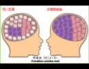汚い忍者が古明地姉妹と添い寝する的な何か～前編