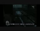 レミリア様の為に取引するそうです　地霊殿の為に友達を作るそうです９