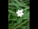 イベント用「炉辺にすわって」