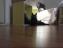 ハイスピードぬこ動画　そにょ５