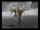 冥雷龍 狩獵笛solo 8ラスタ