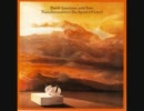 [プログレ辺境地シリーズ] David Sancious /Transformation [アメリカ篇21]