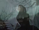 Stillborn Diz - Resurrection Restart