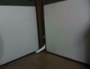 ふすまねこ