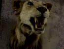 Toto - Africa