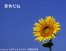 夏色だね