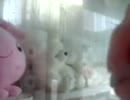 おもちゃくん（元神田ホイ）が海月のくららに話しかけてみた