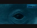 クジラが見てるだけ