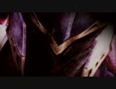 白騎士物語 -光と闇の覚醒- OP (HD)