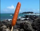 海でＢＢＱ.