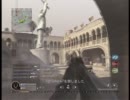 ＣＯＤ４　　ＴＤＭ