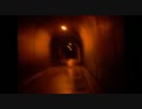佐久間ダム　トンネル夜間歩行