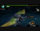 【MHP3】初心者用モンハンのススメ３ｒｄ【上位クルペッコ】