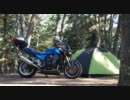 【☓いばらぎ】　茨城キャンプツー２日目　【◯いばらき】
