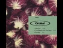 Orbital - Halcyon