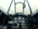 Last Flight / 秋茜-AKIAKANE-