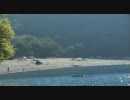 【作業用BGM】狩り用BGM【７５分】