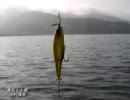 【バス釣り動画】ＰＶ風_１０