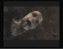 叫びながらもSILENT HILL 4 THE ROOM実況　【単発】