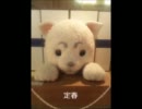 大江戸銀魂ランドいってきました。