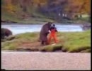 動物おもしろ動画・クマVS人.