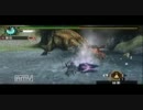 【MHP3rd】イビルジョー　ハンマーソロ　５分針【貪食の恐王】