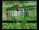 「うまぽりぃ」でアナタも馬主！-MAP4・夏のほっかい島-(Pt.3/4)