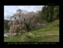 TUFテレビユー福島アナログ2011年7月24日のクロージング