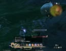 【テスト】FF14　ミコッテ幻術士盾バグ～スケート