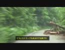 JR線ラリー：山田線ラリー（PART06-B）