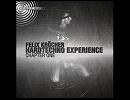A Marked Preference For Hardtechno / Felix Krocher