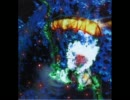 ALBIDA 　[ ×0.7 ]