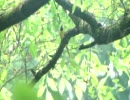 MAH08671.MP4