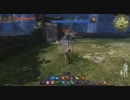 C9 タオイスト ベラサークルからのコンボ