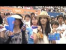 o ANN 20110730