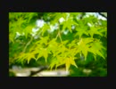 旅人なひととき　'11日本大縦断の旅　第2章　#2