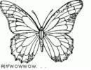 .jpが歌ってみた。Butter-Fly