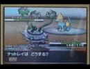 【ポケモンBW】初心者が個体値悪くて勝てるのか？ユネトーーク　1