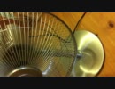 IMG_0145.MOV