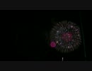 PL花火@20110801　その5