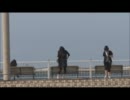 【直樹と浩】Perfectcrime【踊ってみた】