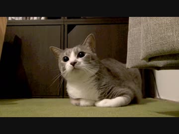 モアレとクリエ #02 「どちらも様子見」