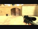 FPS初心者がCS:Sをプレイ　test ver